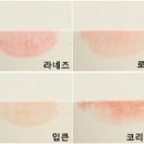 뷰티오렌지 이미지