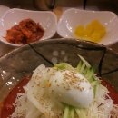 국수나무안산 이미지