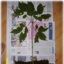 청산중학교 이미지