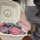 맘마드멍 이미지