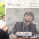 E-024 | 26년 3월 일상