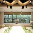 (주)벨라투어 | [공지] W. 안양 파티오벨라 웨딩홀 투어 후기 및 25년 하반기 비수기 견적 공유(추천인: 쪼냐)