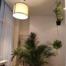 수원-1569 이미지