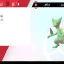 맥스포 스피드 이미지