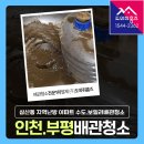 (주)미래약품 | 부평 보일러배관청소 비용 인천 배관청소업체 (삼산동 주공미래타운3단지 지역난방)