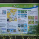 신동습지 이미지