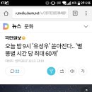 오늘 밤 9시 '유성우' 쏟아진다.. '별똥별 시간 당 최대 60개' 이미지