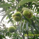 삼수농장 이미지