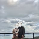 시온건축설비 | 남해 상상양떼목장편백숲 내돈주고 다녀온 후기 : )