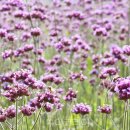 쉼이필요할때 이미지