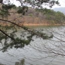 진달래 핀 풍경 이미지