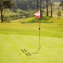 넥서스그린 이미지