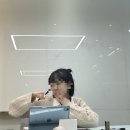애쉬놀해이코리아 | 한껏 해이해진 4월