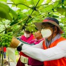 동대전농협 앞 이미지