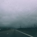 지티글로벌(주) 이미지