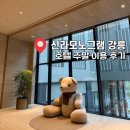 호텔소하2 | [강릉 숙소] 신라 모노그램 강릉 호텔 타입 솔직후기