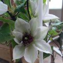 하계역 2번출구 이미지