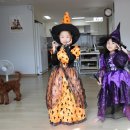 즐거운 성아어린이집 이미지