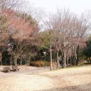 용의발광장 네이버블로그