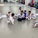 뿌리깊은나무태권도장 이미지