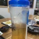 딩구는해물탕 | 대구 군위 맛집 딩구는 해물탕 해물찜 후기