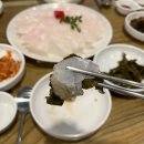 코알라포차 네이버블로그