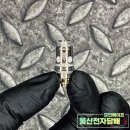 모던스노우