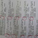 서02-407 | 북위례영어 모든 아이들이 성장하는 선장주영어학원 후기