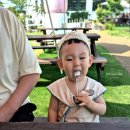 태기목장 이미지