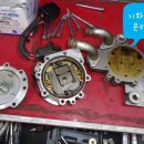 오토훼미리 이미지