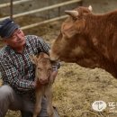 강우농장 이미지