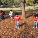 좋은열매어린이집 이미지