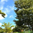 광양읍 서천체육공원 | 전남 광양 가볼만한곳 서천 체육공원 서산 어울길 둘레길