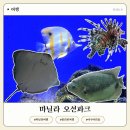 오션파크 | 마닐라 오션파크 티켓 할인, 운영시간 및 후기