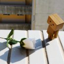 인하대학교 제1생활관 이미지