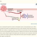 Re: 암전이 정맥전이와 동맥전이!! venous intravasation vs arterial dissemination 이미지