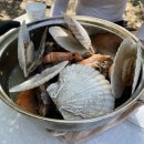 희여울과 꽃나예 | [가평여행] 희여울과꽃나예펜션, 가평계곡, 오지계곡