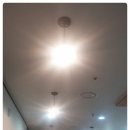 다다참치 이미지