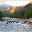 역시 명산 설악산의 단풍이 명품입니다(멍석 님) 이미지