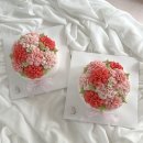 지나케이크 이미지