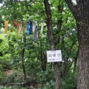 청학산 Daum카페