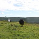 경원목장 이미지