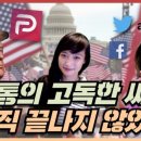 디스테크