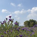 낙동강체육공원 자전거대여소 화장실 이미지