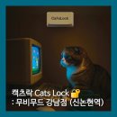 켓츠 | 무비무드 강남 캣츠락(Cat's Lock) 후기 😸🔒 - 신논현역 이색 방탈출, 신논현역 데이트 추천