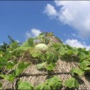 푸르른날 이미지