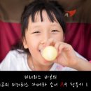 소니지우