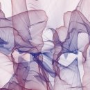 화이트안경원 이미지