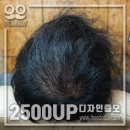 스타일아라