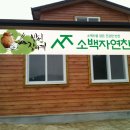 소백자연찬